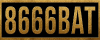 logo 8666BAT